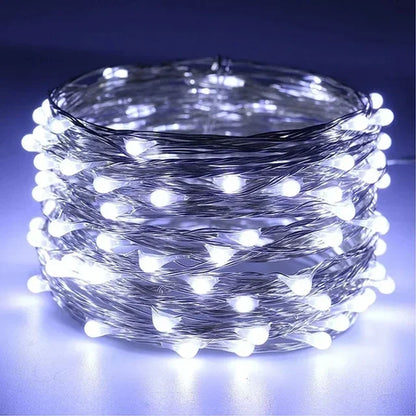 1M 2M 3M 5M 10M 20M 30M Copper Wire LED String lights Holiday lighting