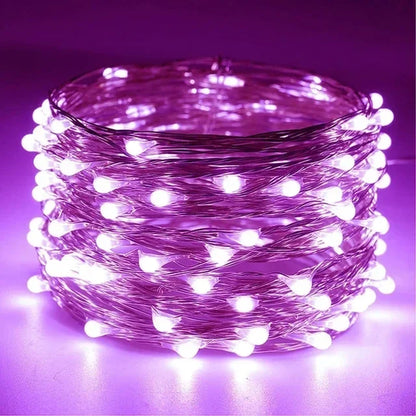 1M 2M 3M 5M 10M 20M 30M Copper Wire LED String lights Holiday lighting