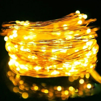 1M 2M 3M 5M 10M 20M 30M Copper Wire LED String lights Holiday lighting